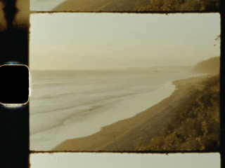Analog wedding photography and videography documenting intimate and genuine moments on digital and analog mediums, including 35mm, 120 film, Polaroids, vintage camcorder, and Super 8mm film.