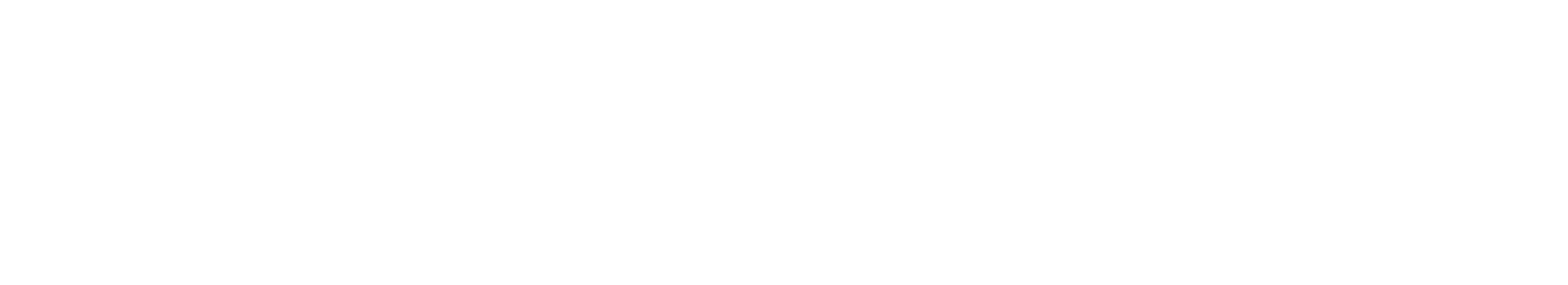 scheels
