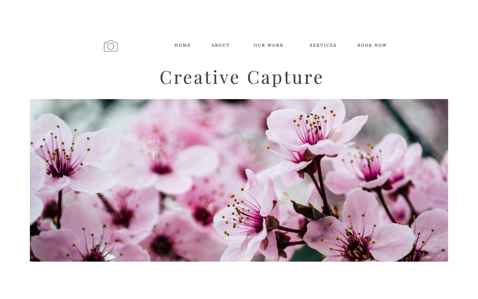 Preview of the Photography Template website design