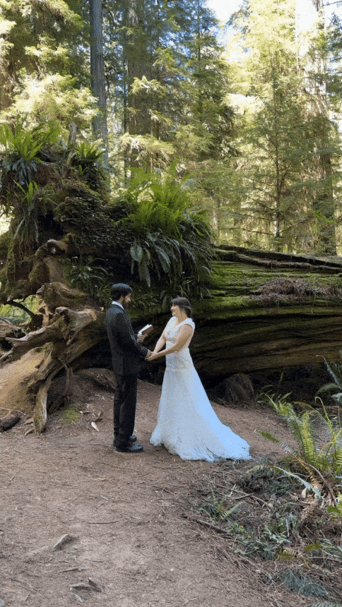 Redwoods Elopement Photographer
