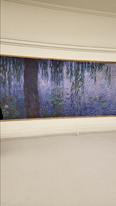 Gif of luxury travel expert Stephanie Dosch walking in front of and admiring Monet's Water Lilies at the Orangerie in Paris ©Stephanie Dosch | theViatrix Luxury Travel