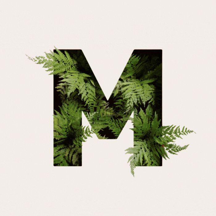 logo-magnetique