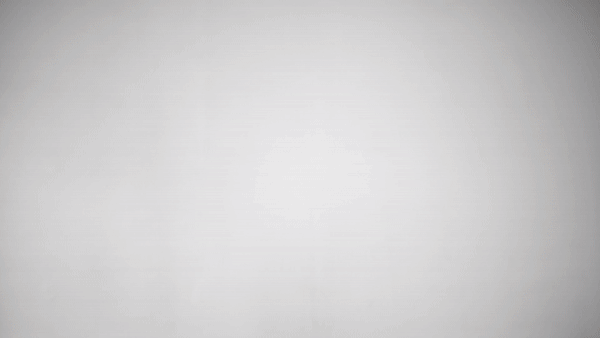 gif of a photographer working at her desk