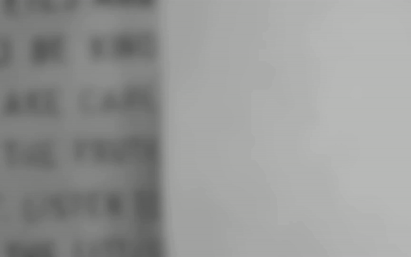 Meg Jungkunz | Website & Brand Design