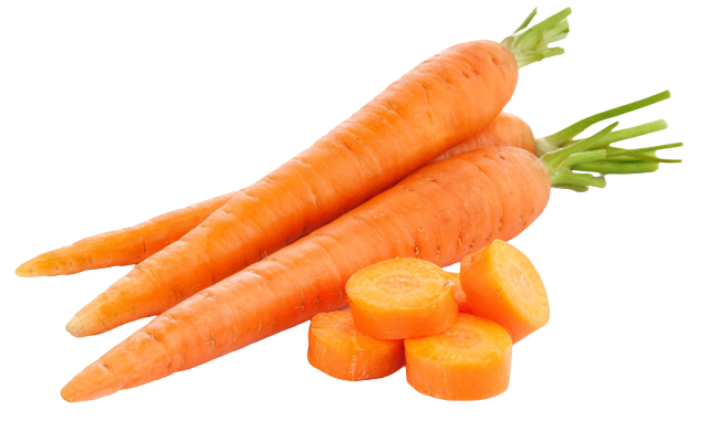 carrot