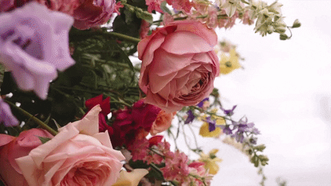 floral GIF