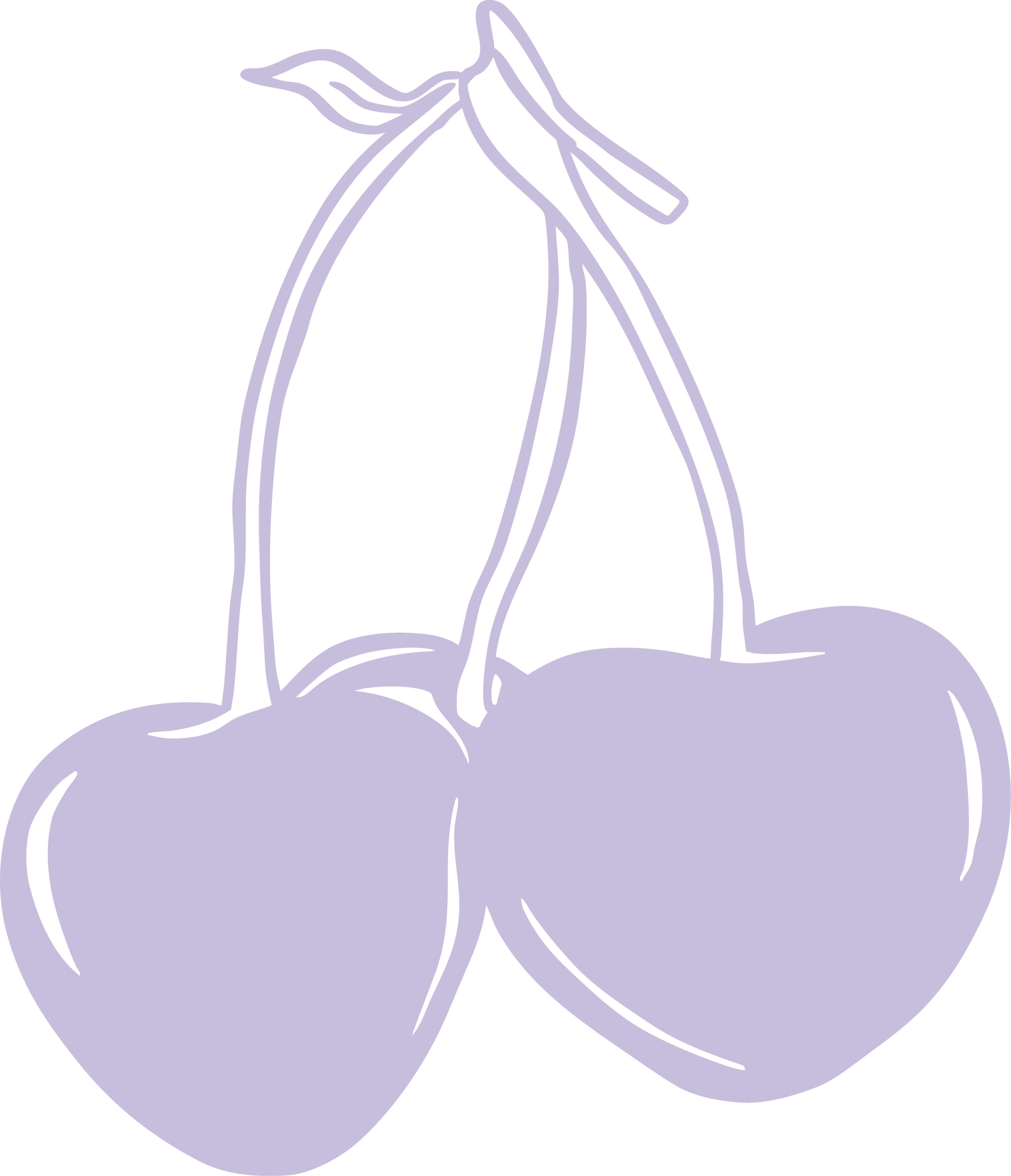 Cherry Illustration
