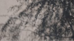 Background Movement