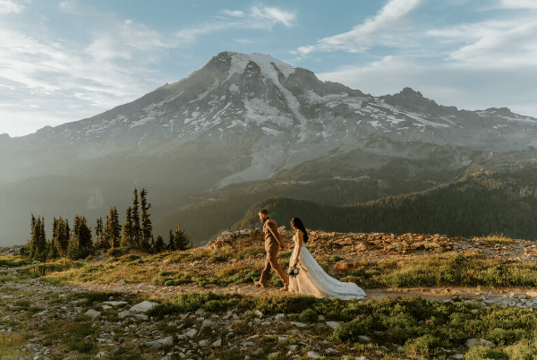 bride and groom  in redwoods