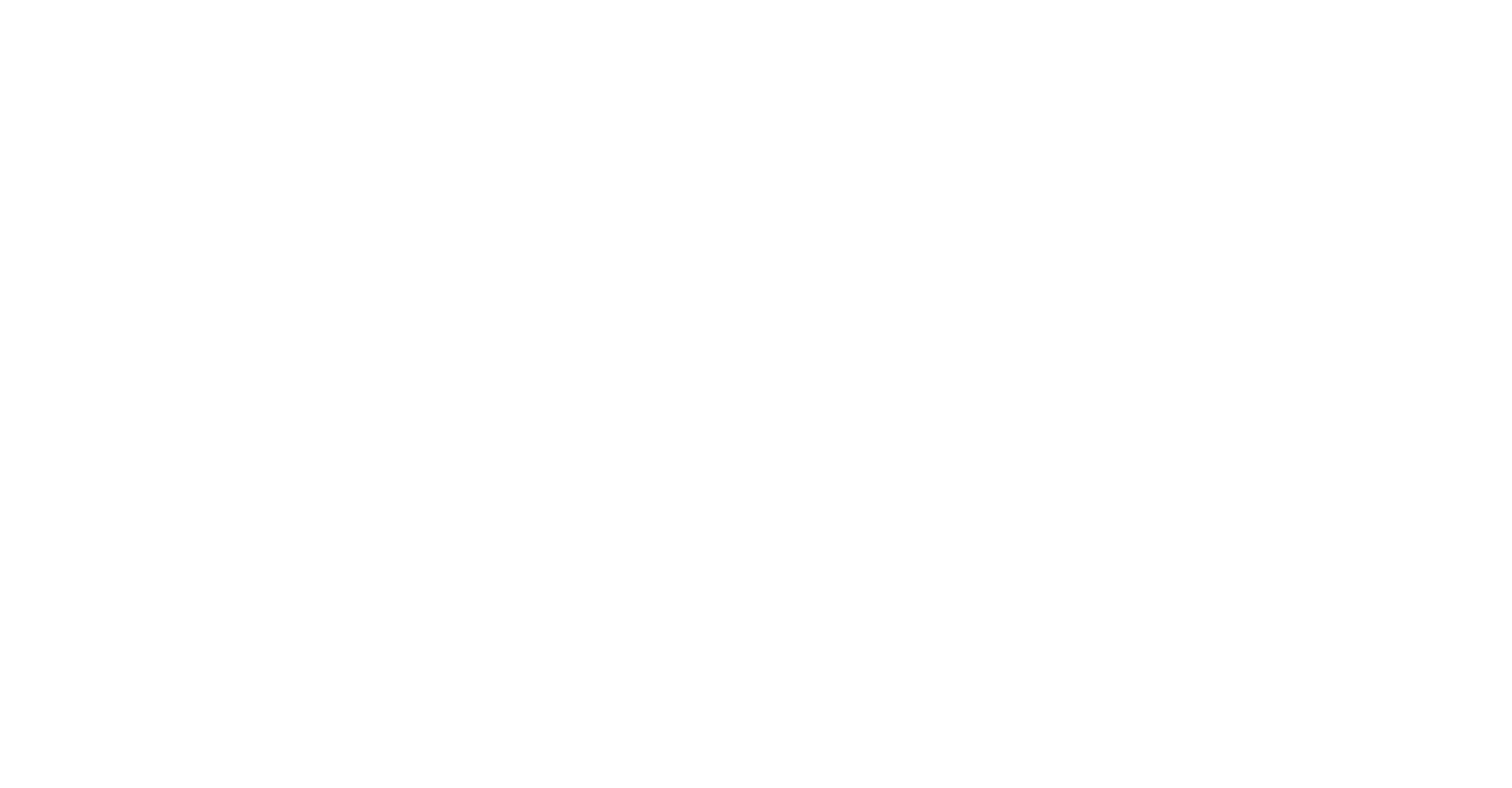 Logo 13