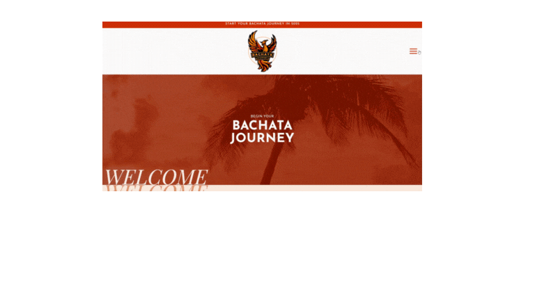 Gif of Bachata Journey Website