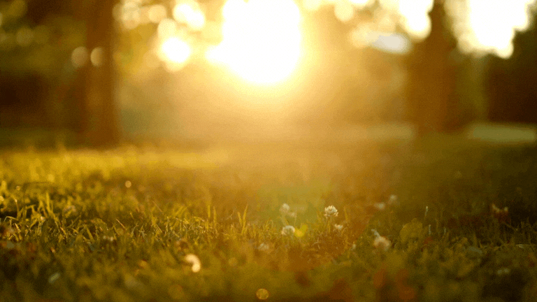 Free Meditation Playlist  Orange Sunny Nature