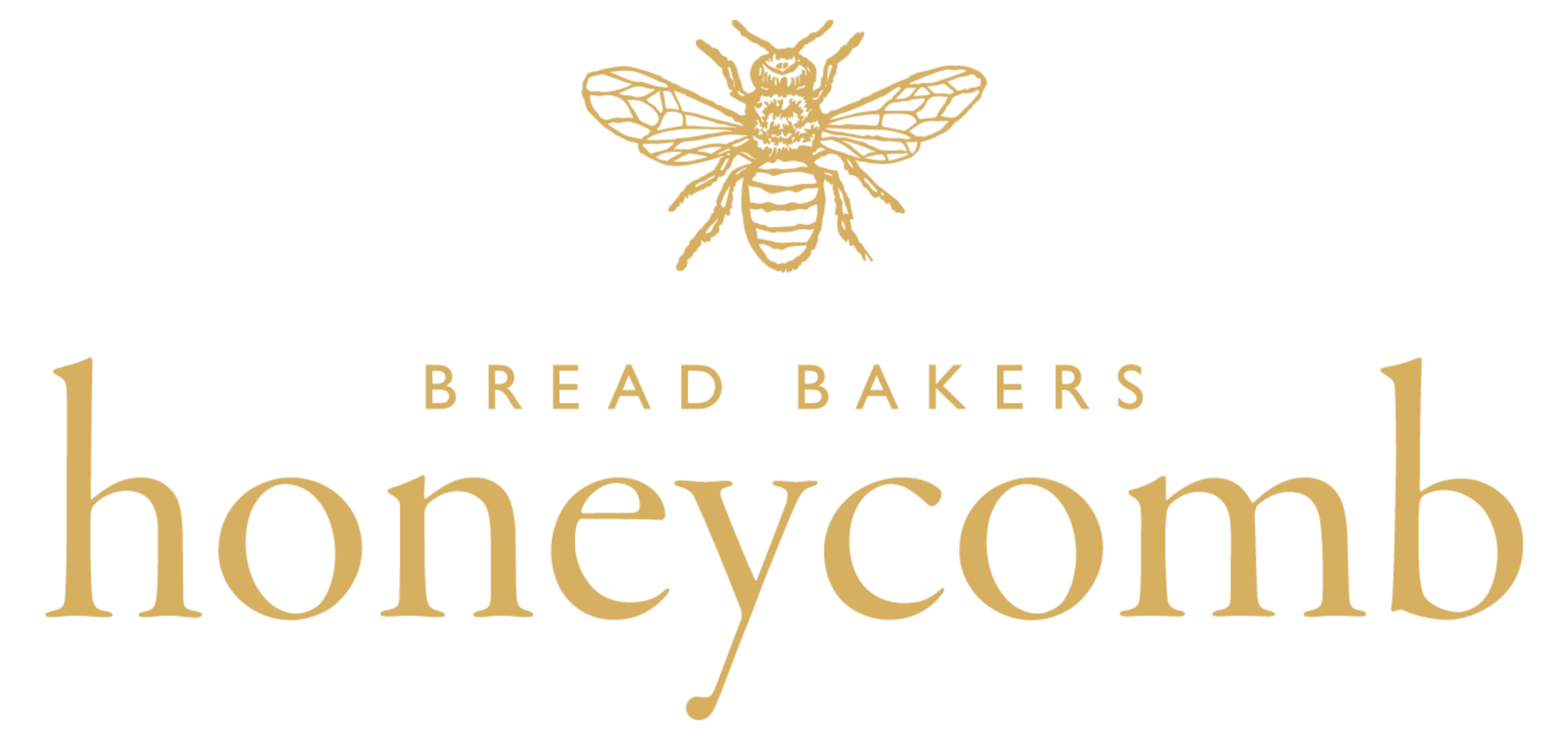 Logo 4