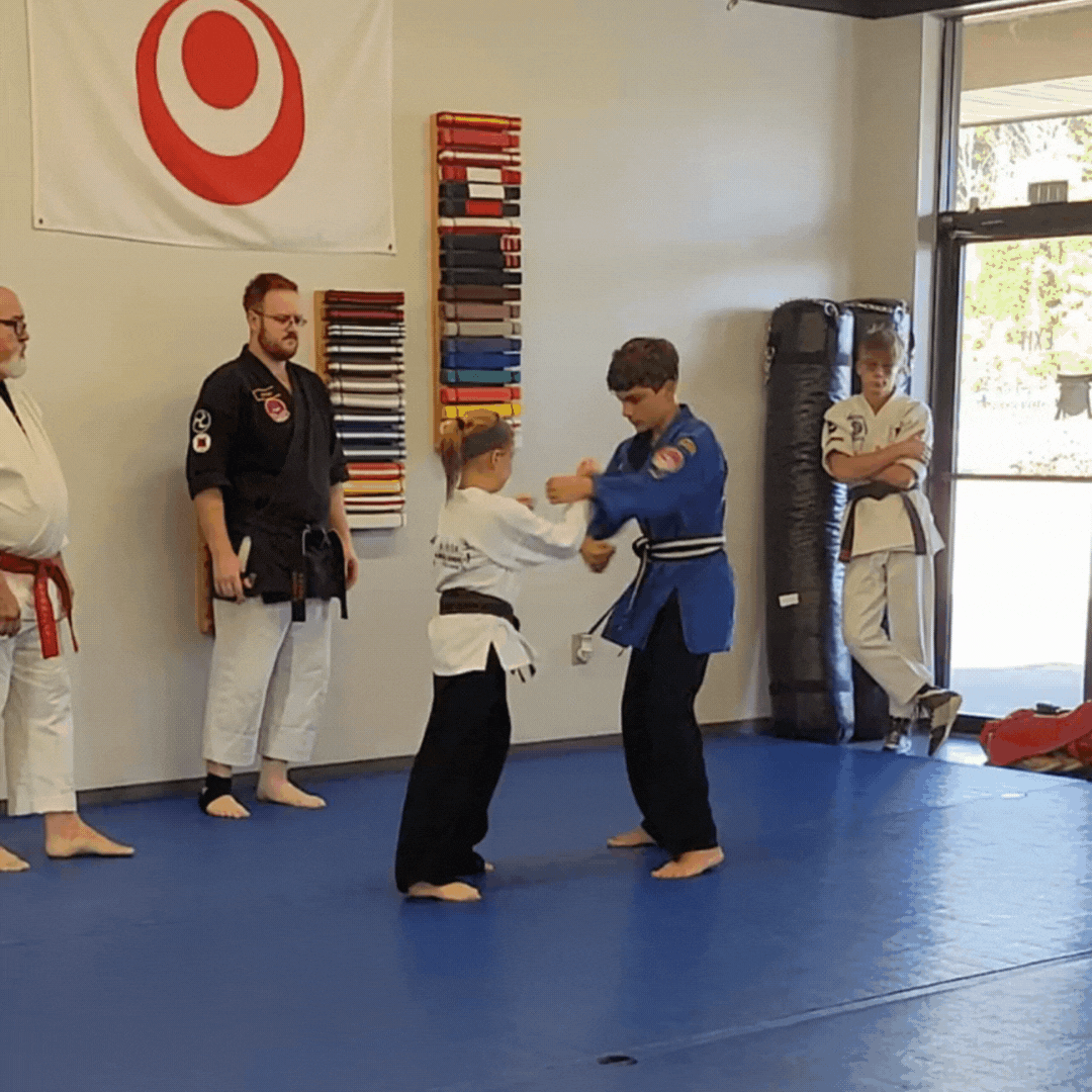 Instructors giving karate training