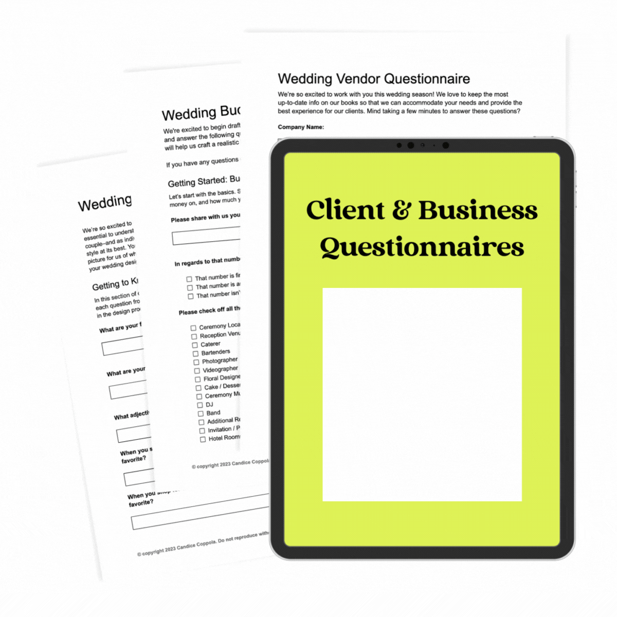 15 Client & Business Questionnaires