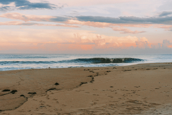 wedding photographers washington dc