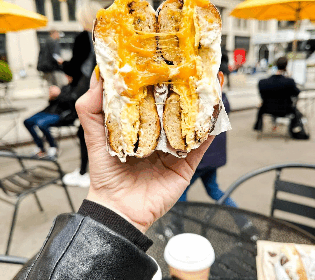 YOUR IMAGE DESCRIPTION