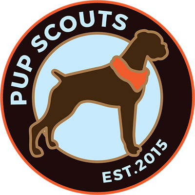 Pack Dog Walks, Obedience Training, Overnight Dog Care, Mobile