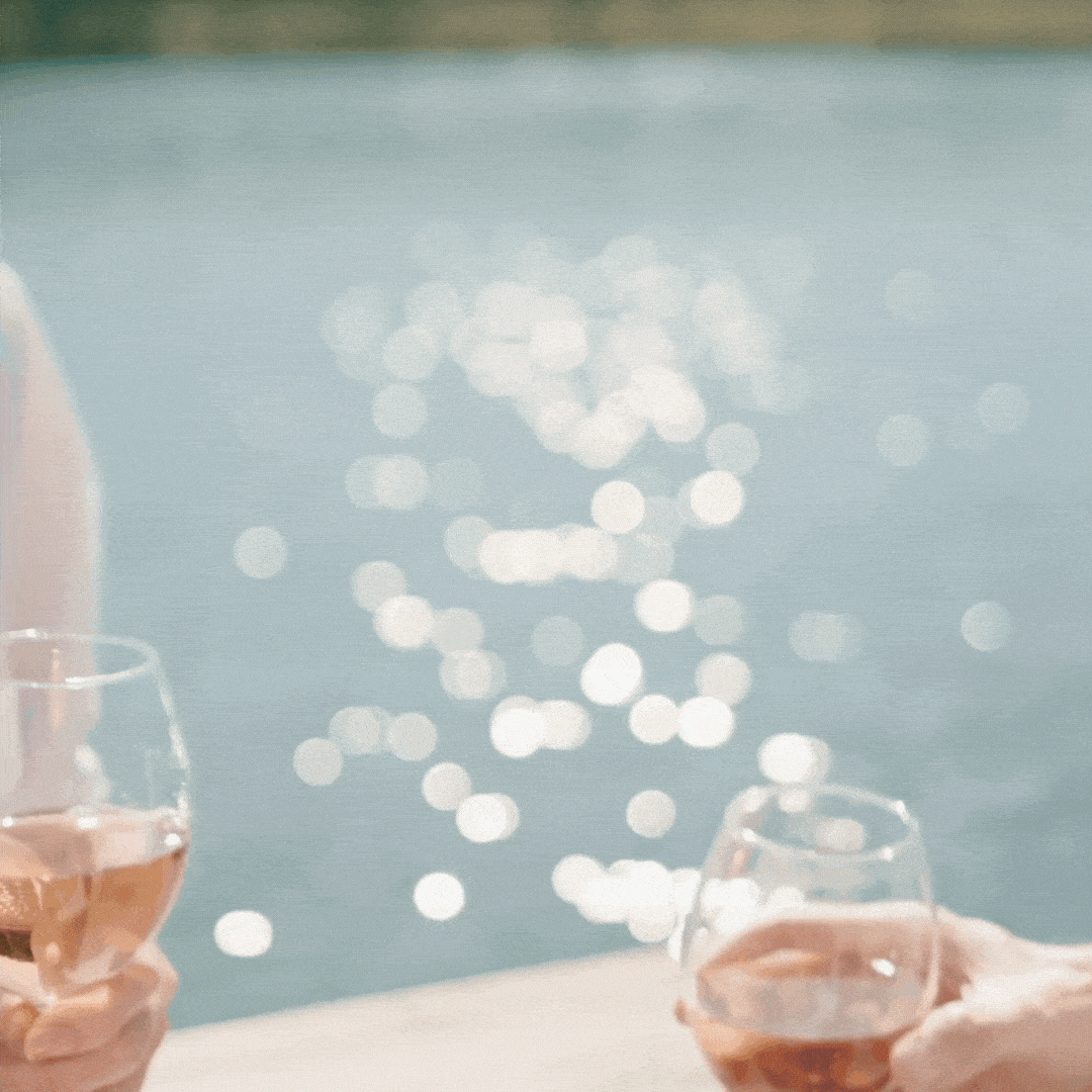 Cheers with wine in front of coastal view