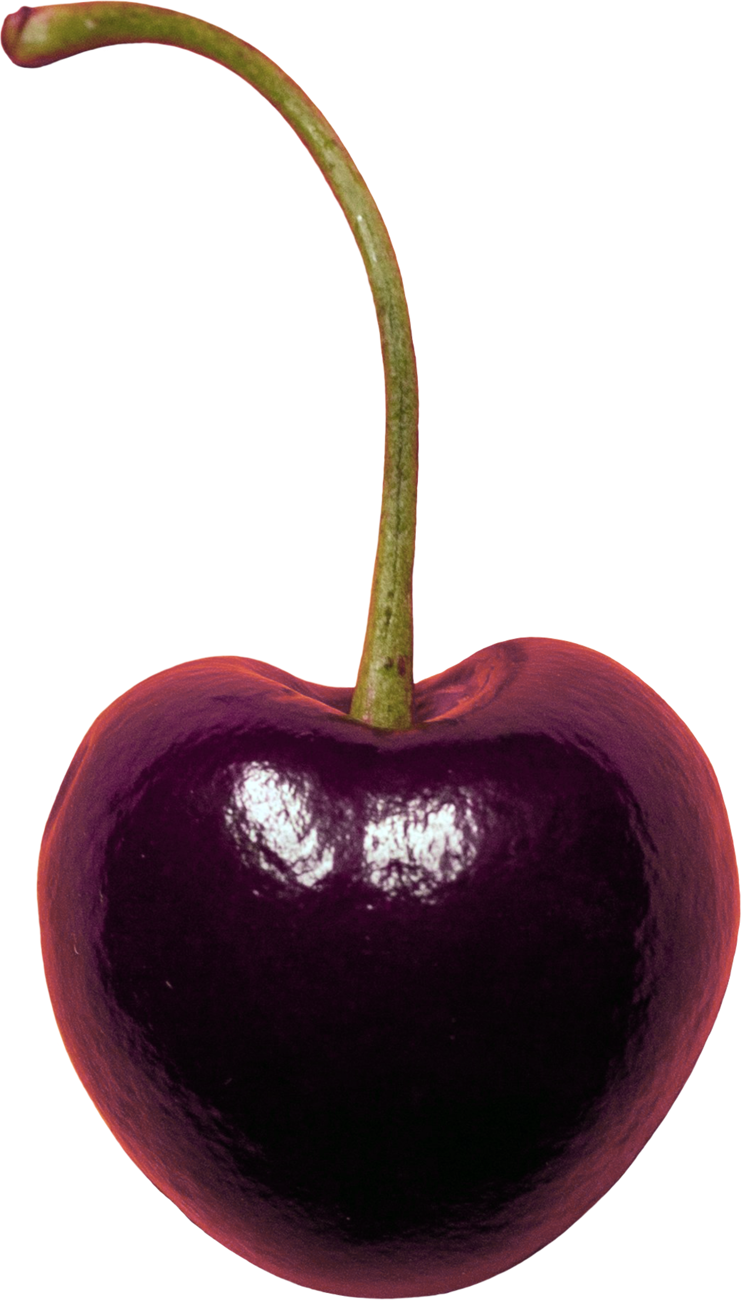 cherry-cutout-for-showit-one-page-website-cherry-guapa-studios-joyce-05.png