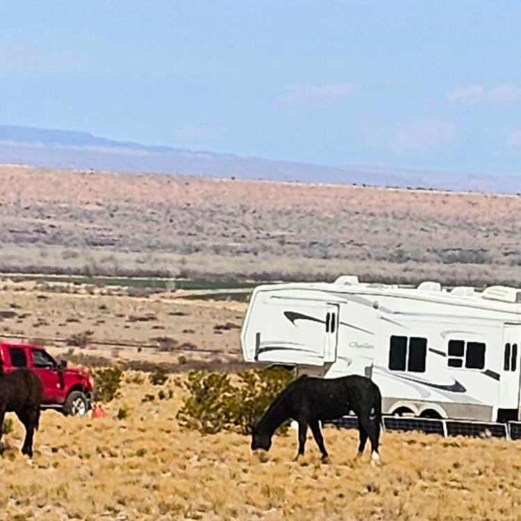 Traveling full-time