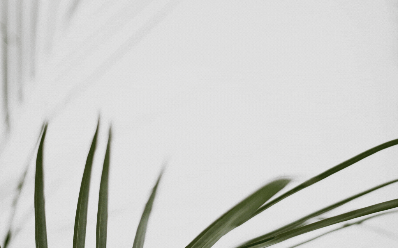 Services Template