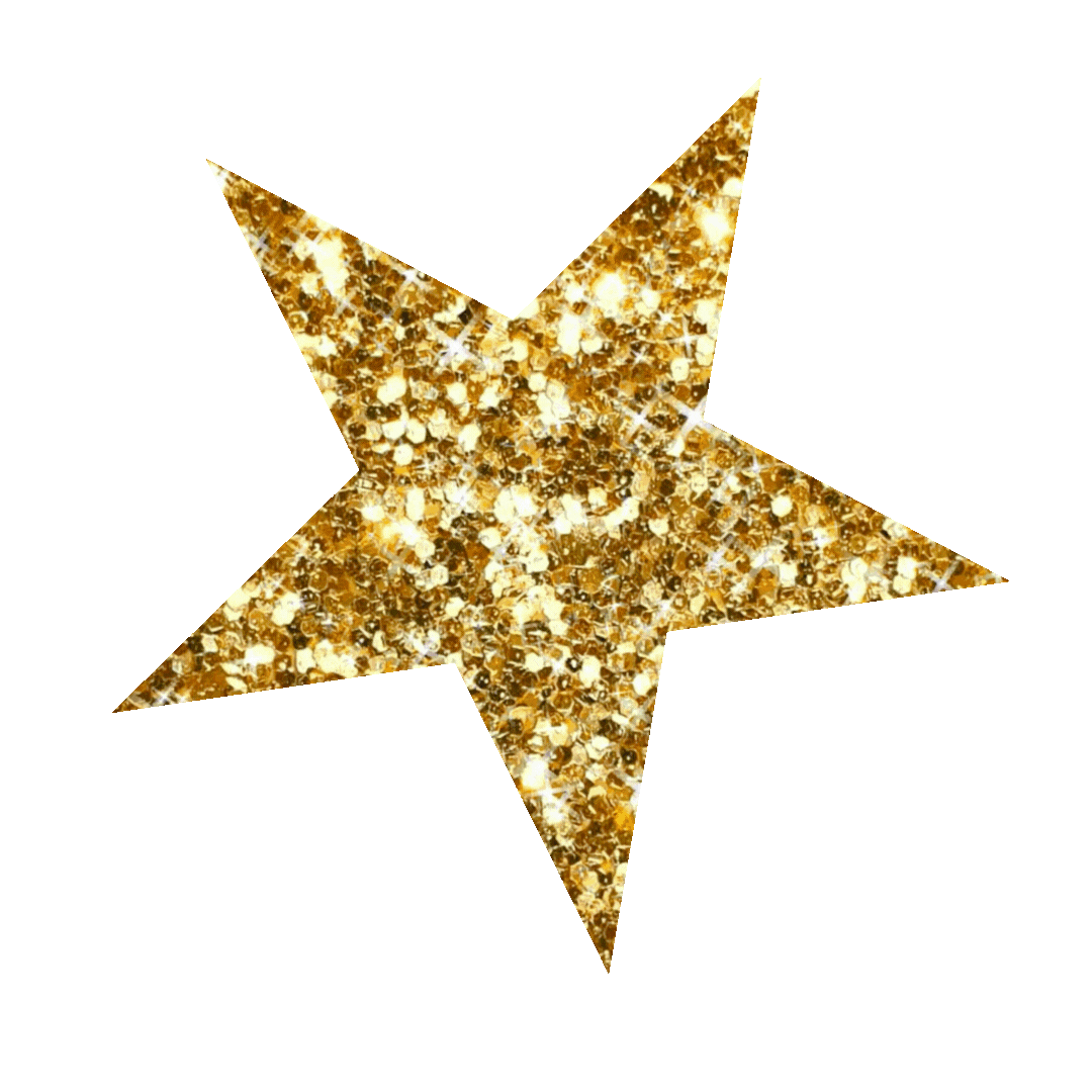 GOLD ADN SILVER GLITTER SPARKLE STAR.GIF