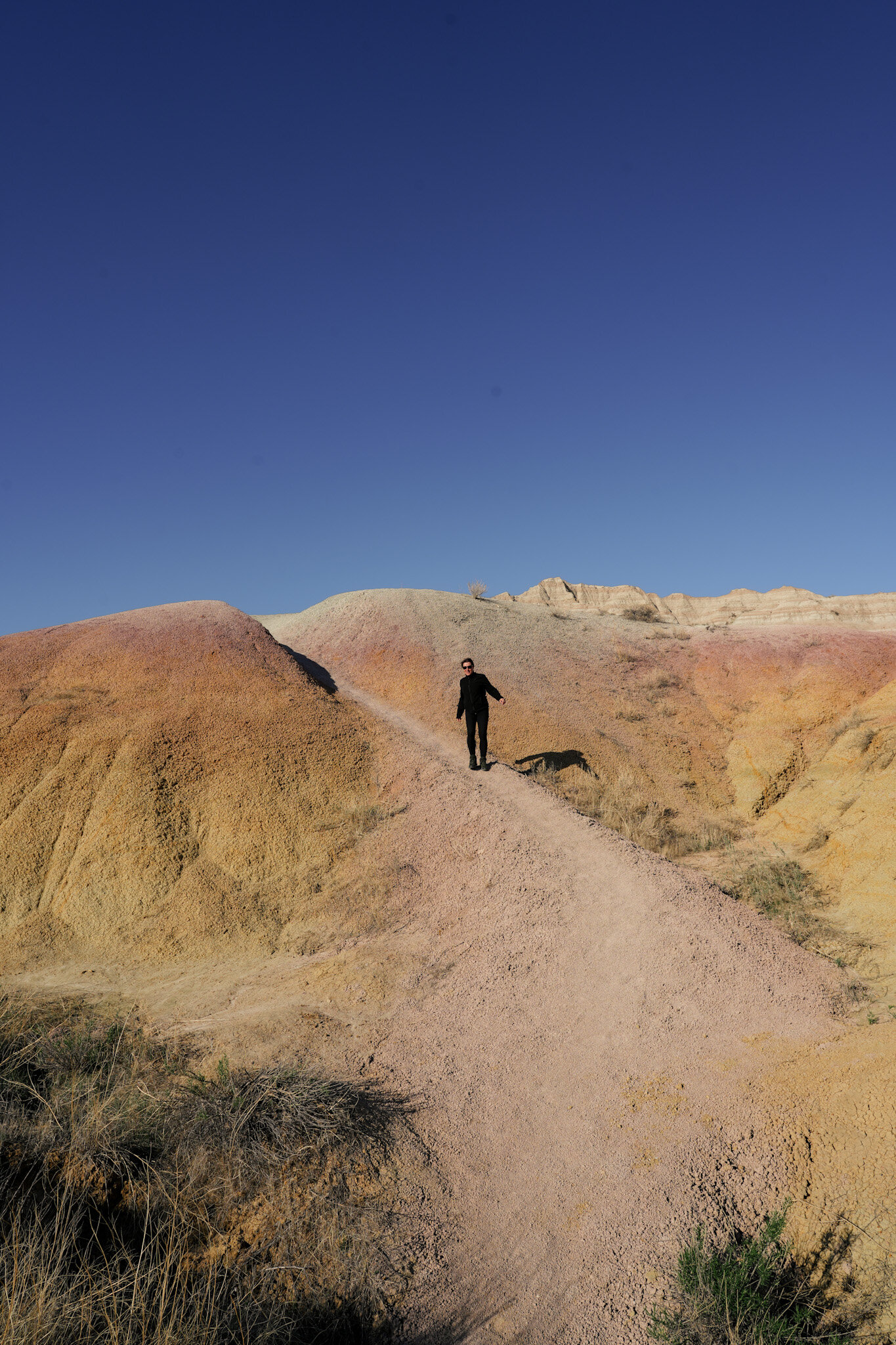 Descriptive Alt Text