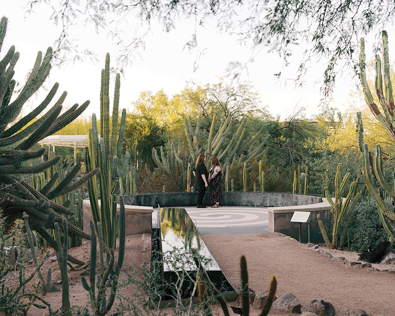 desert-botanical-garden-proposal-gif