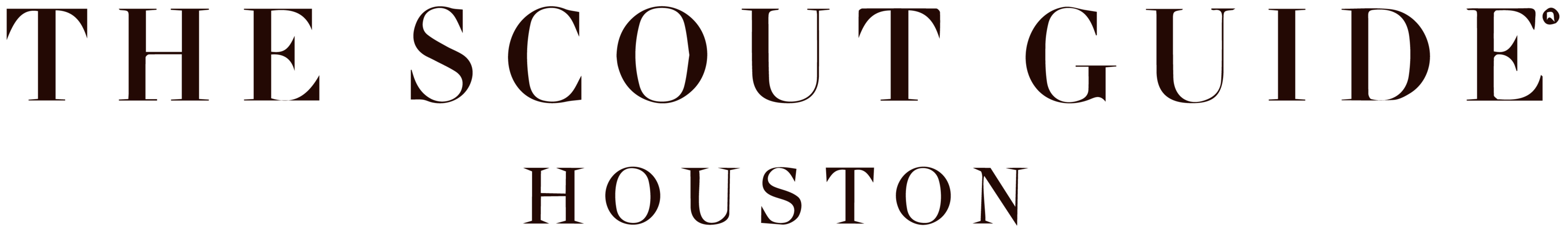 the scout guide houston
