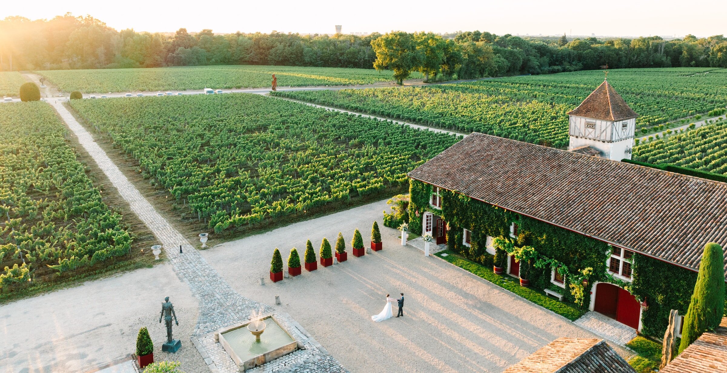 Bordeauw Wedding Photographer Cover Bride Groom Elegant Couple Vinyard Bordeaux