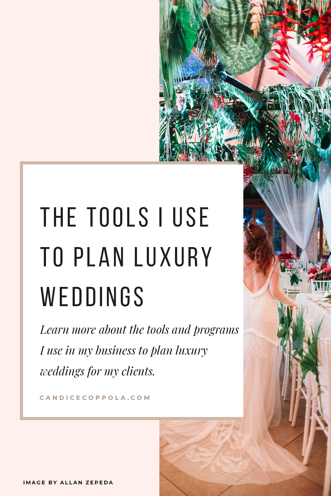 Are you searching for the right tools to run your wedding planning business? Learn more about the tools I used to plan luxury weddings for my clients, and receive special discounts and freebies! #weddingplannerbiz #businesstools