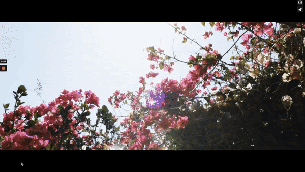 White Elm Films National Wedding Videography Video Team Seattle San Francisco Santa Barbara Los Angeles Miami Chicago Dallas Austin Baltimore Philadelphia New York Boston