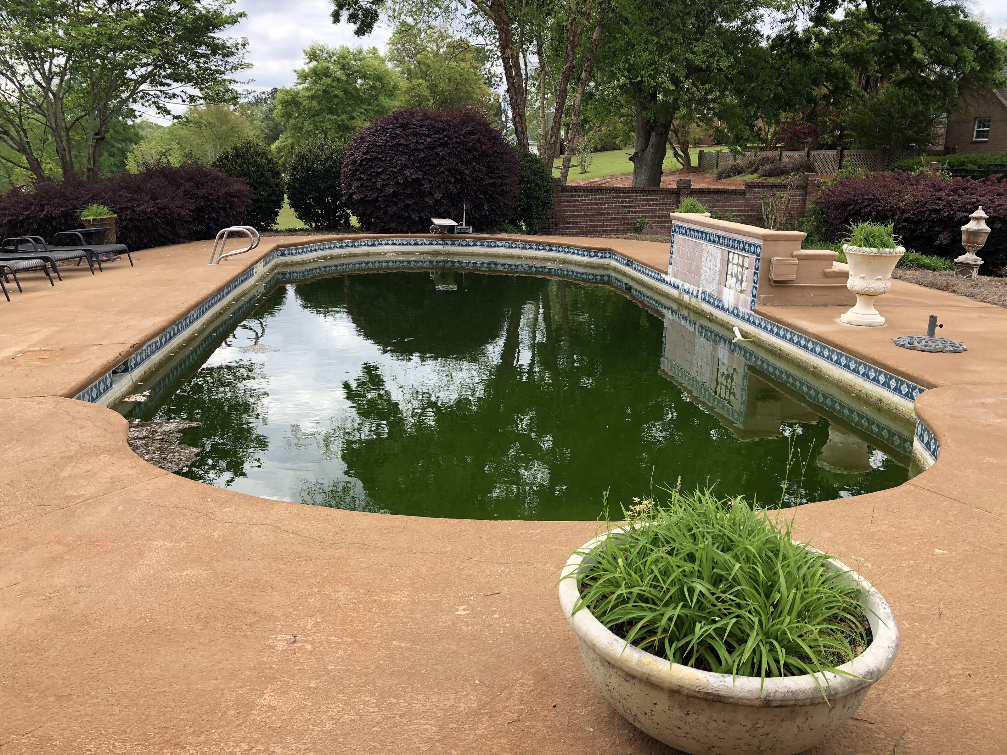 Pool renovation needed — green algae-filled inground pool before restoration in Middle Georgia