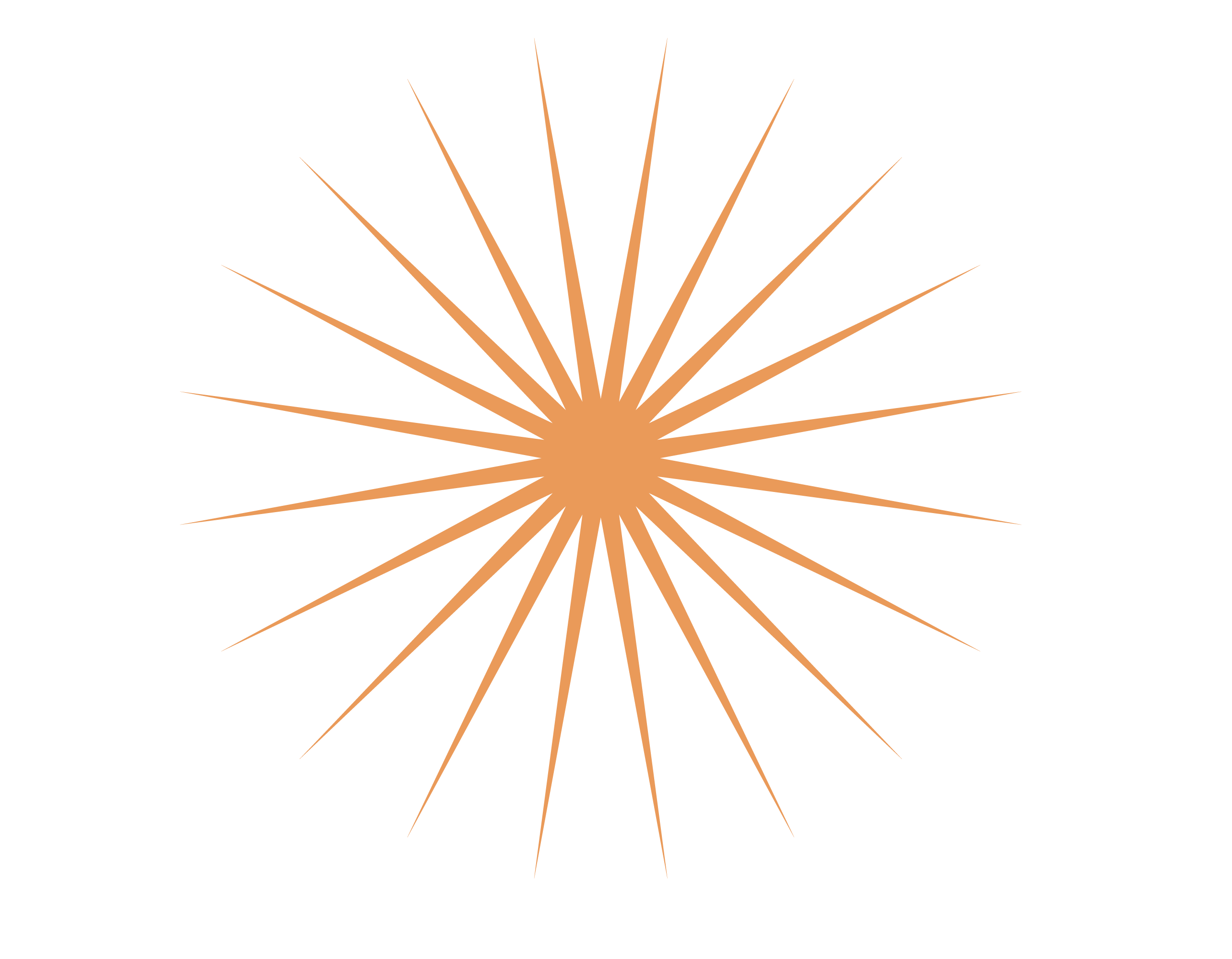 Spinning Image