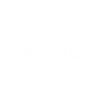 Junebug Weddings