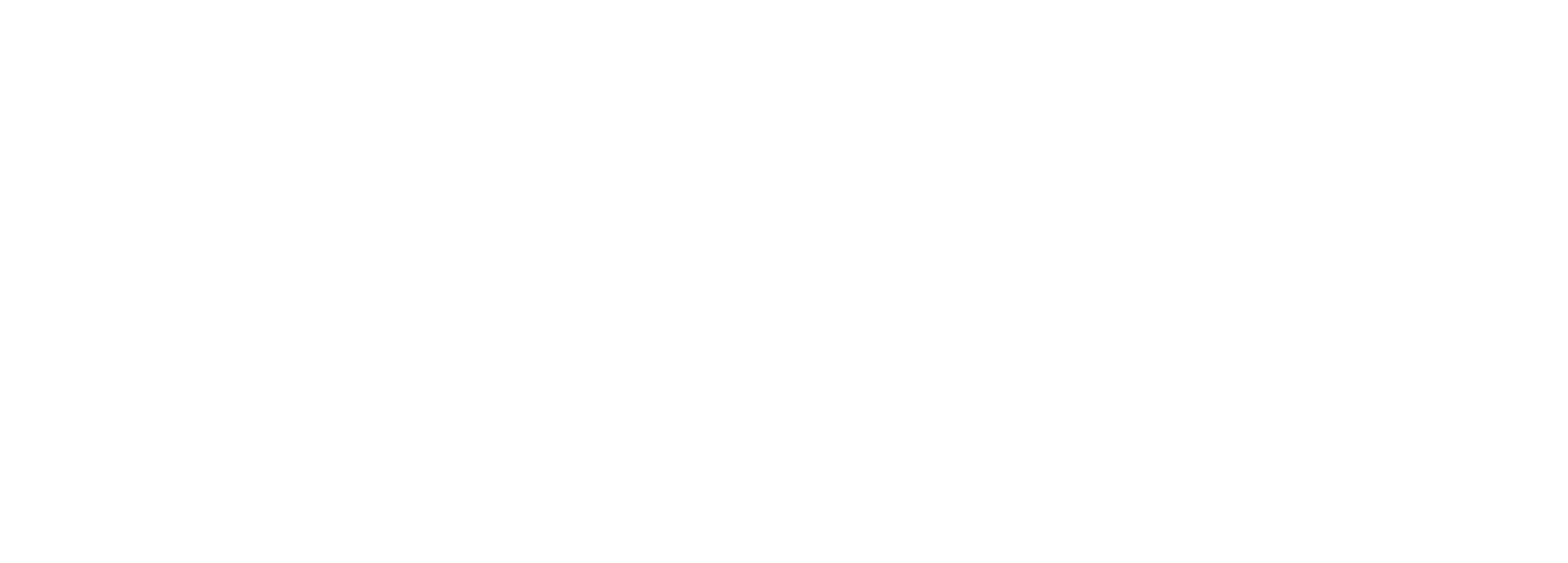 logo 13
