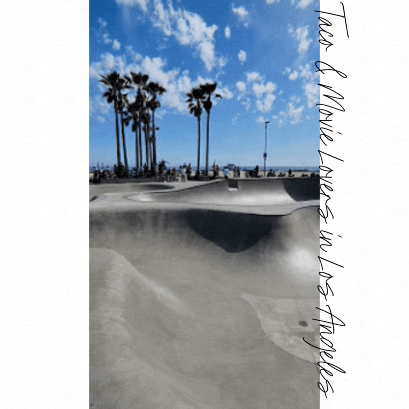 Venice Beach skatepark in Los Angeles, with smooth concrete bowls, tall palm trees, and a bright blue sky ©Stephanie Dosch | theViatrix Custom Los Angeles Travel Guide