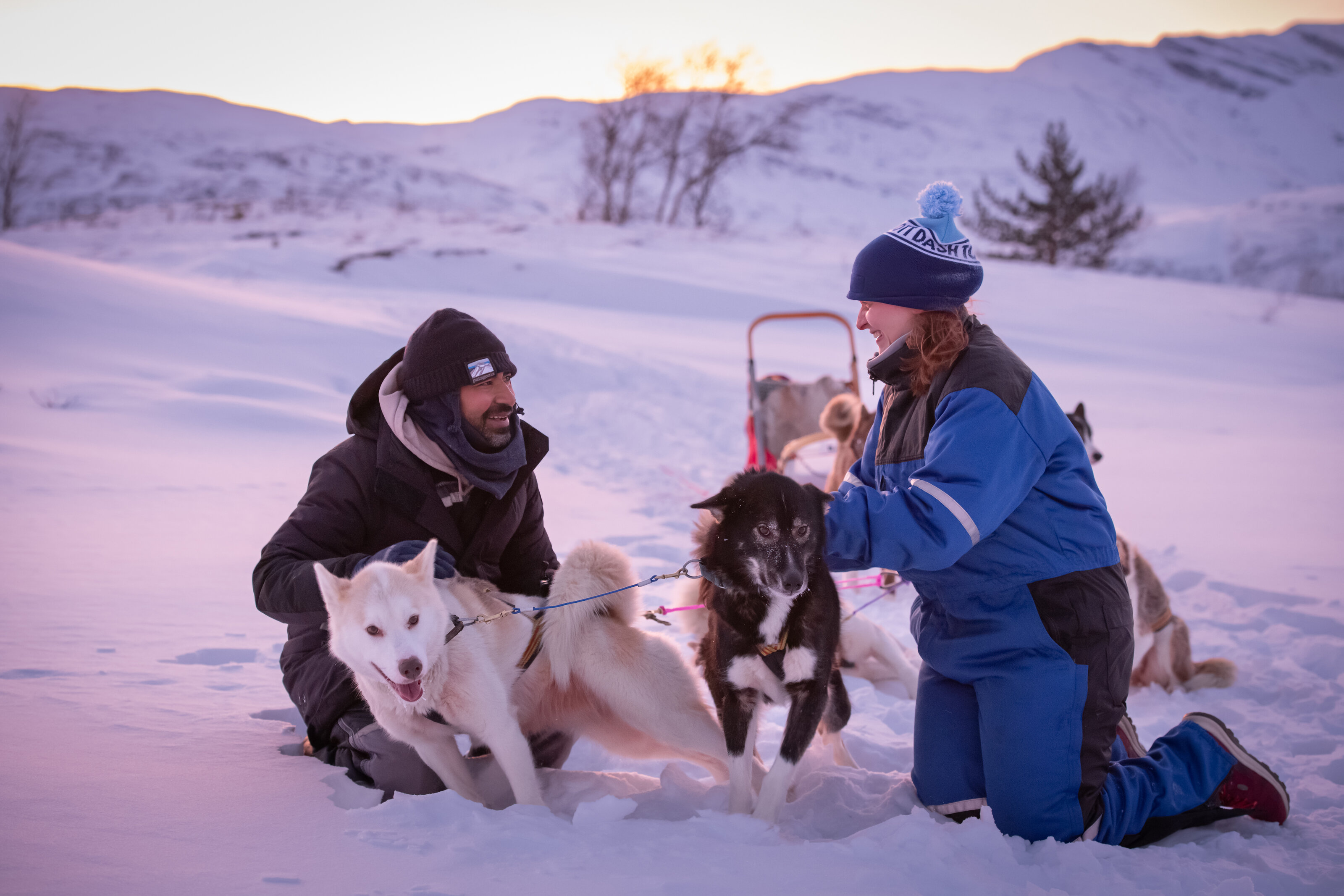 Couple kneel in the deep snow either side of their husky dog sledding team, while looking at each other and smiling after their recent proposal. The sun is lighting the sky and snow with pastel hues signalling the end of dark time in Norwegian winter. 