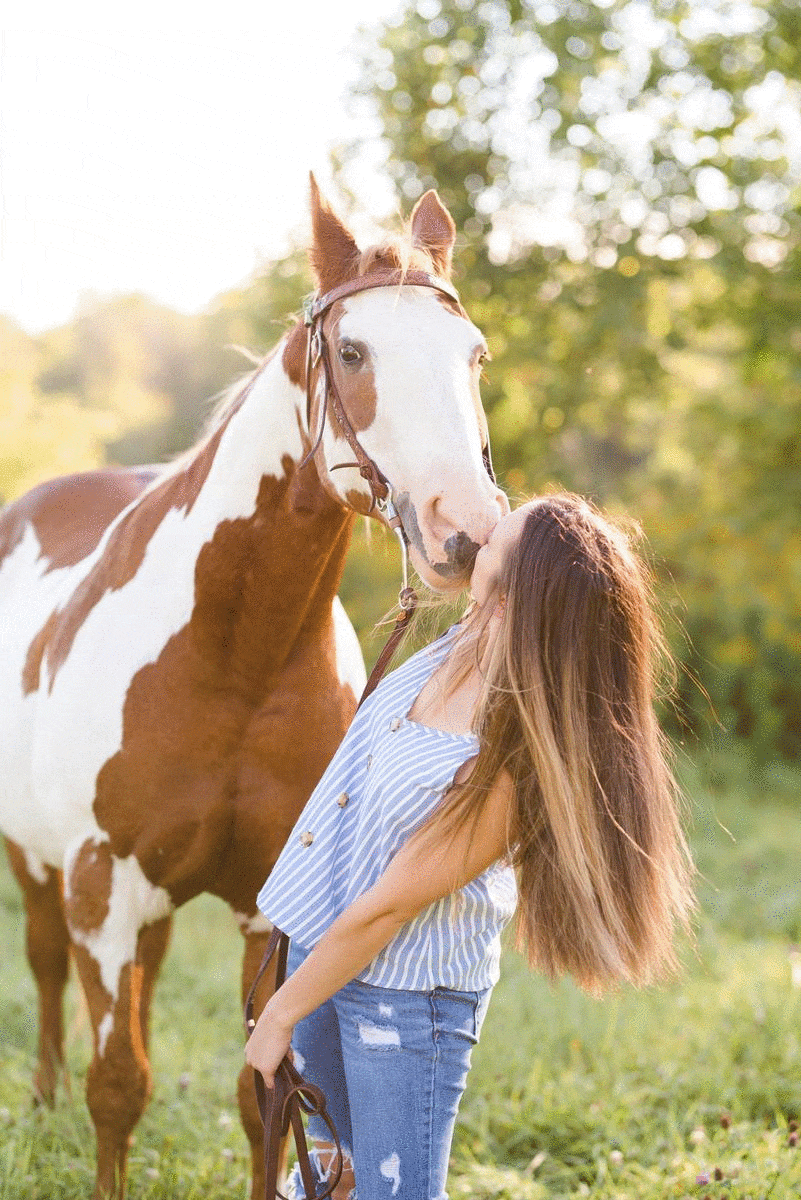 Horse kisses girl