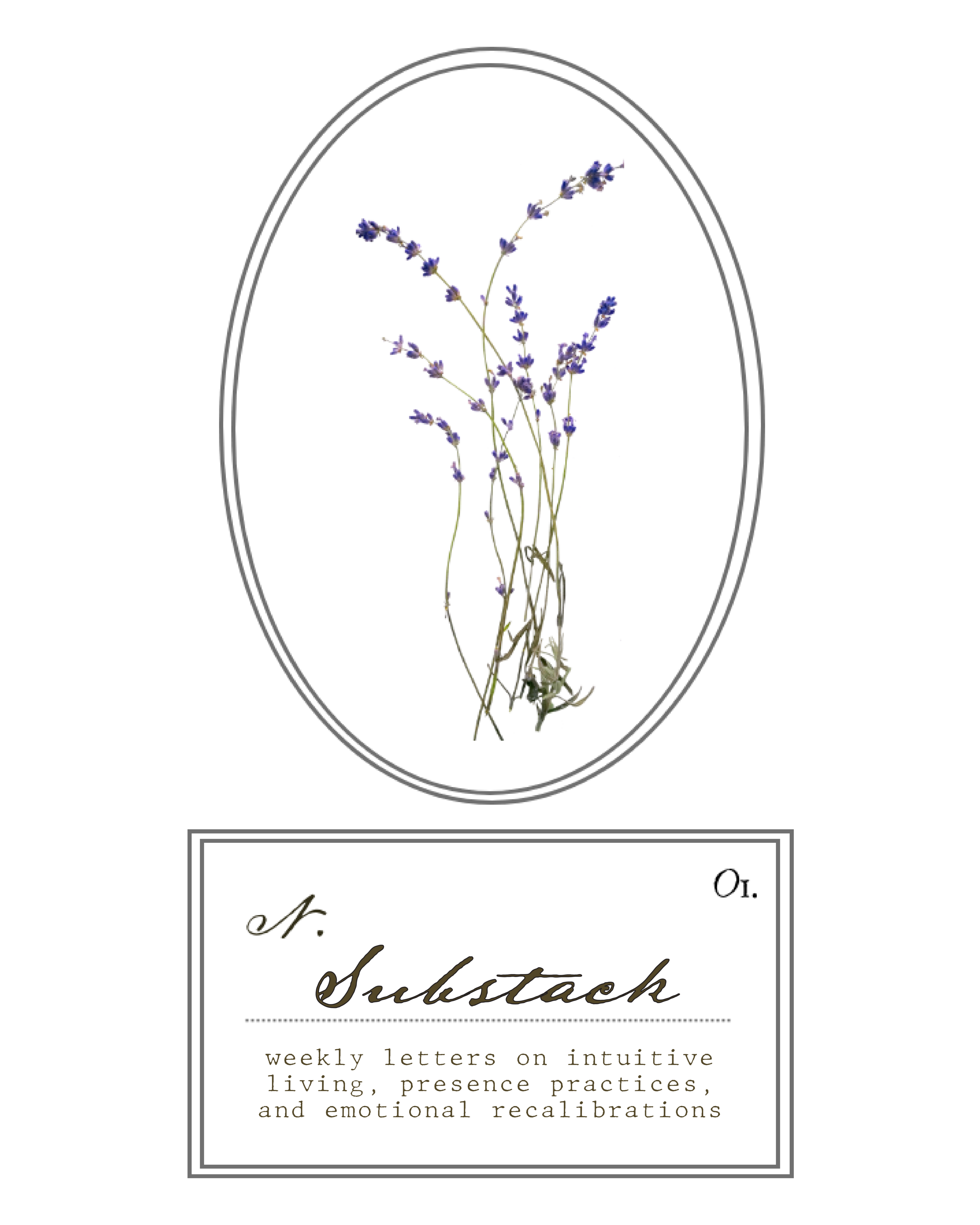 Intuitively Wild resources illustration