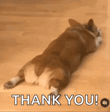 Jersey and New York Wedding Photographer