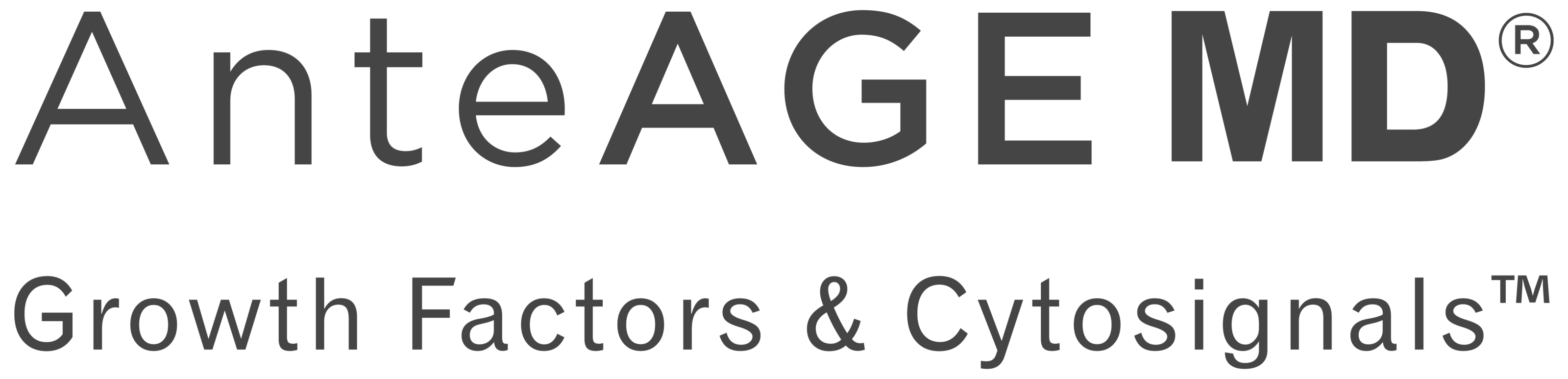 Logo1