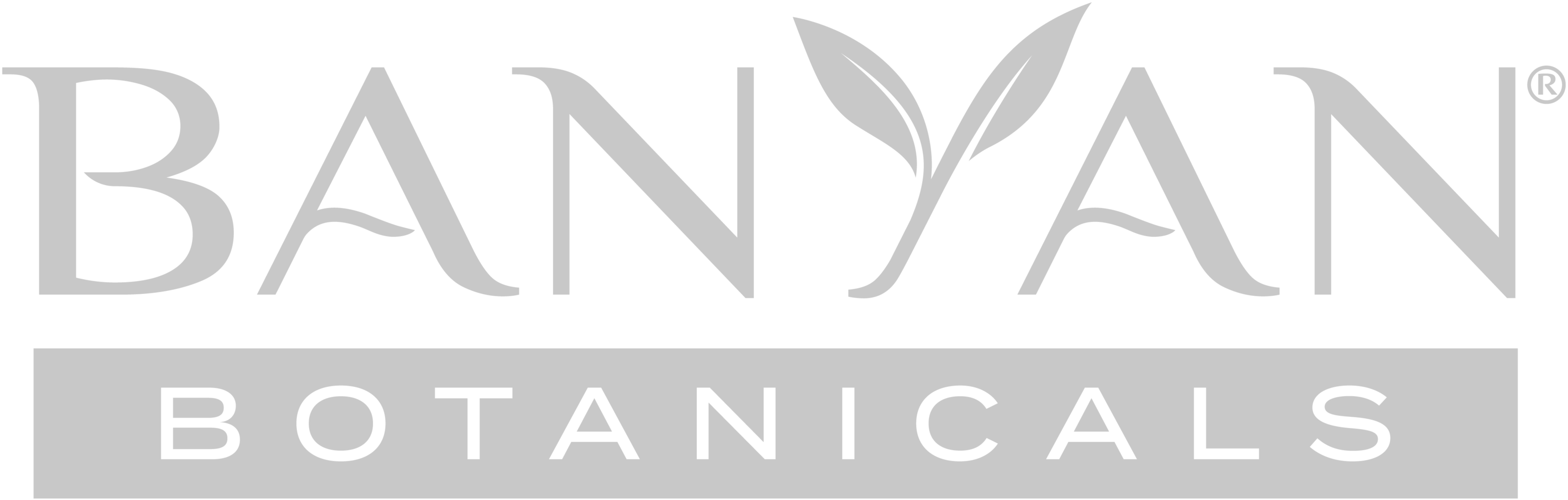 banyan logo