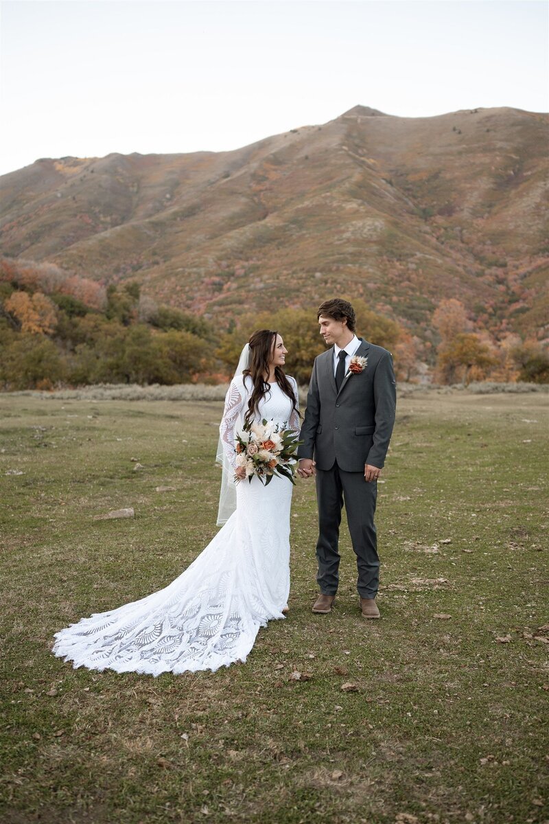 Utah Mountains preview
