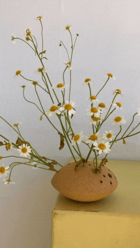 Daisies designed into this really cool pot that kind of looks like a rock with tiny holes in it.