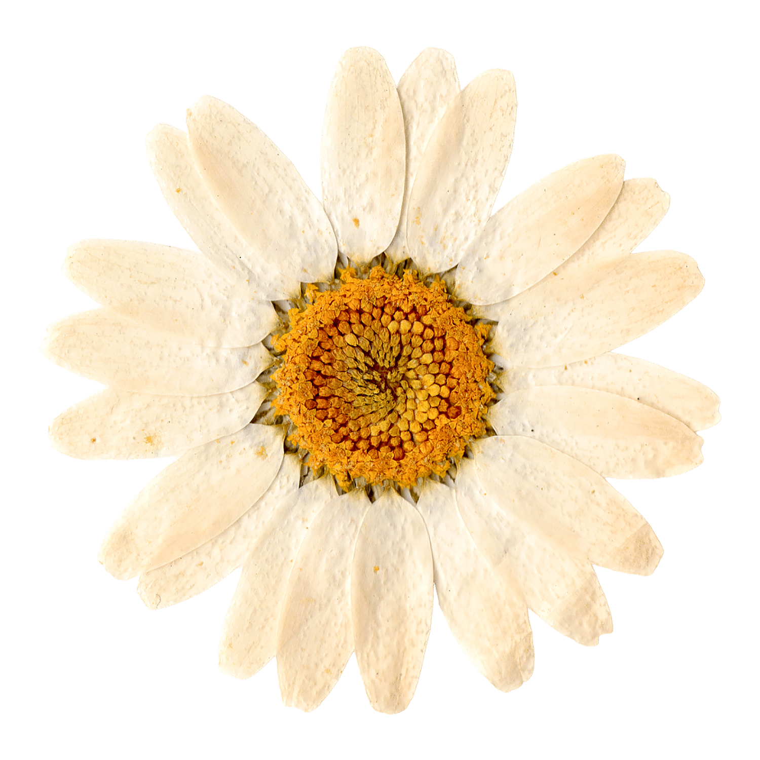 Spinning Photo