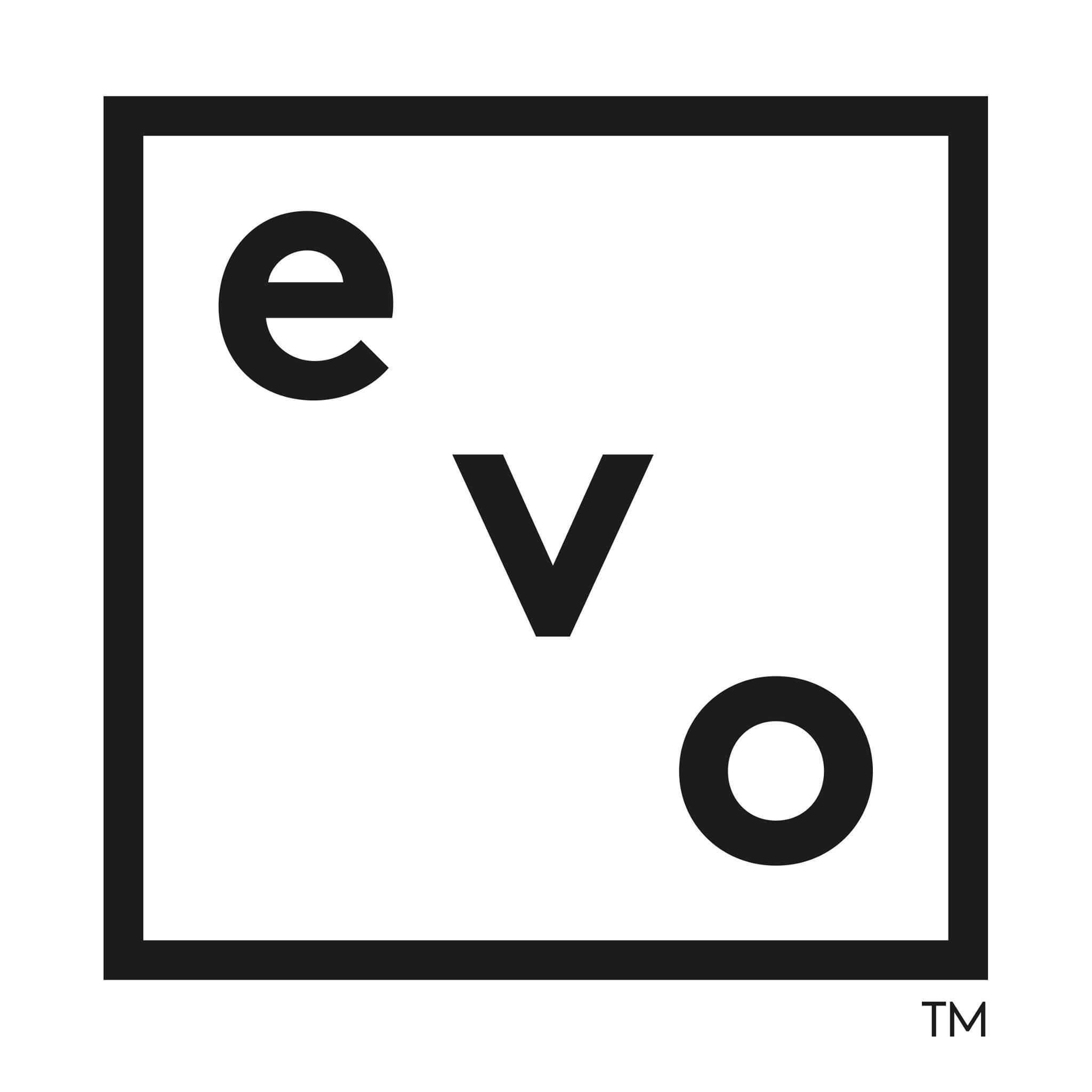 Logo de evo hair