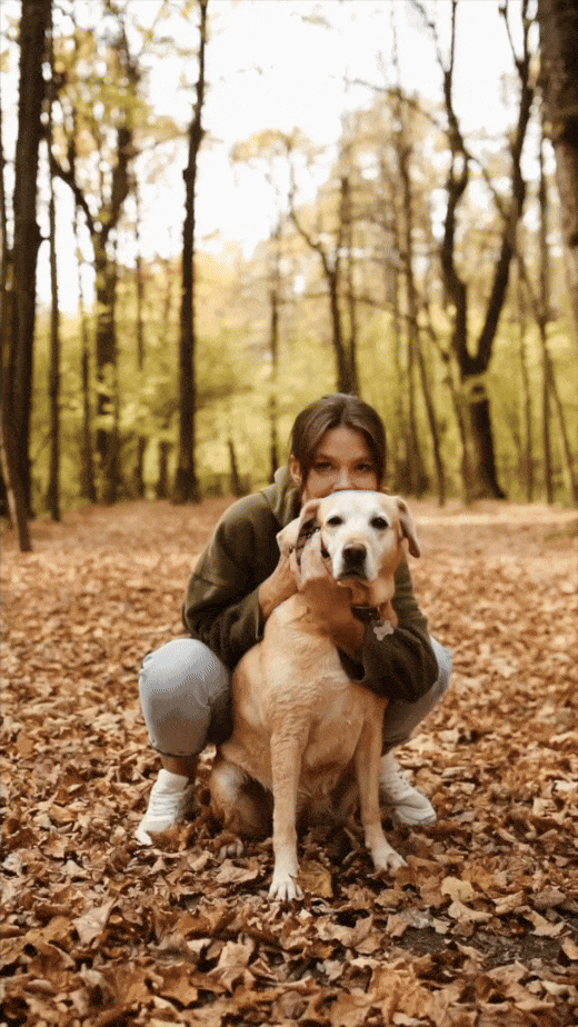 GIF of Dog