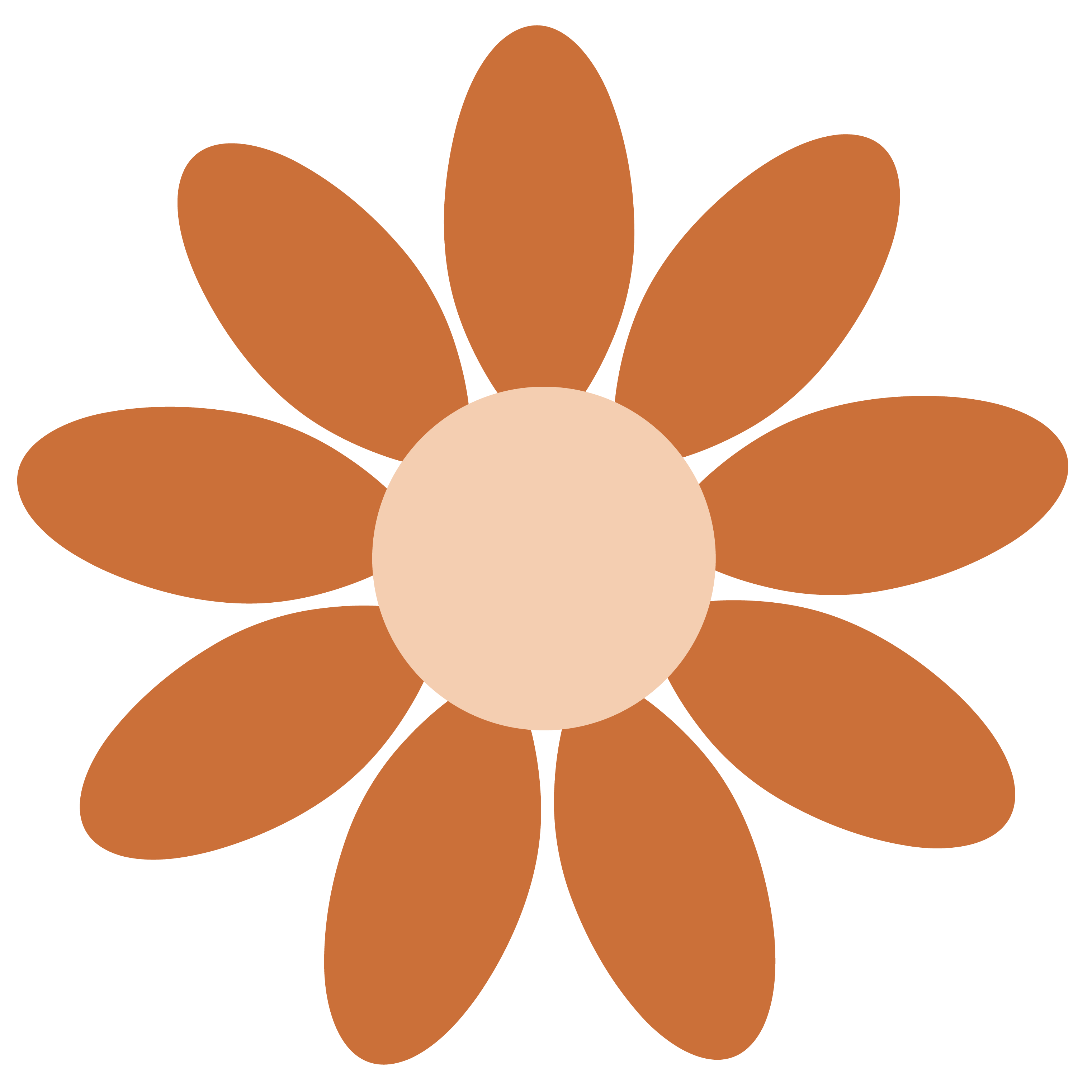 Spinning Image